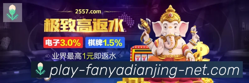 未来规划